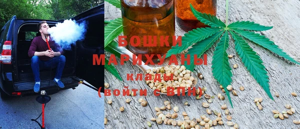 соль ск Вяземский