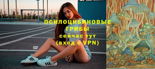 соль ск Вяземский