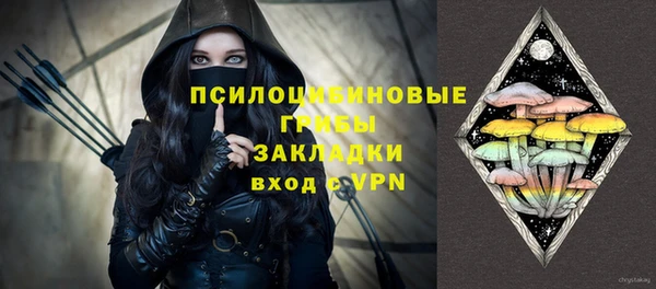 spice Вязники