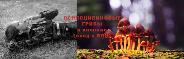 прущие крисы Володарск
