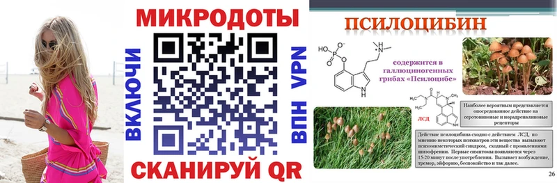 Псилоцибиновые грибы Psilocybe Галич